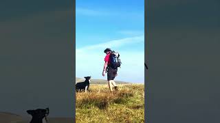 Walking In Scotland  Hart Fell Horseshoe  Southern Uplands mountains scotland bordercollie [upl. by Suirada]