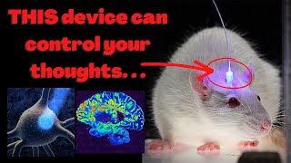 Mind Control is Real… optogenetics [upl. by Auqinimod]