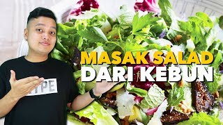 MASAK SALAD PANEN DARI KEBUN SENDIRI [upl. by Luas]