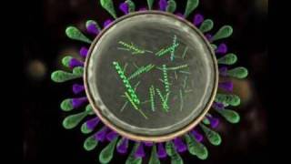 Science Today Virus Mutation  California Academy of Sciences [upl. by Riggins823]