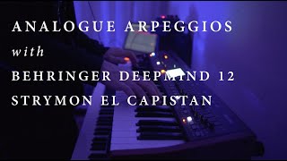 Analogue arpeggios with Behringer Deepmind 12  Strymon El Capistan  closeyoureyes [upl. by Enimassej]