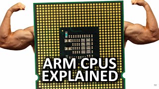 ARM CPUs as Fast As Possible [upl. by Warrin750]