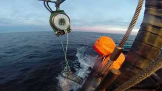 Commercial Dungeness crab fishing [upl. by Aidil76]