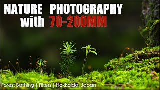 Photography in a Moss Corridor in Hokkaido Japan [upl. by Sitelc]