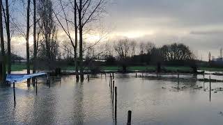 Parcours Hexia Cyclocross Gullegem onder water gelopen [upl. by Alhak370]