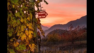 VALTELLINA WINE TRAILSDM NEWS 09 11 2021 [upl. by Gnohc384]