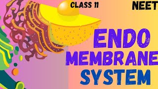 NEET CELL THE UNIT OF LIFE ENDOMEMBRANE SYSTEM CLASS 11 neet ncert youtube youtubeshorts [upl. by Edmunda]