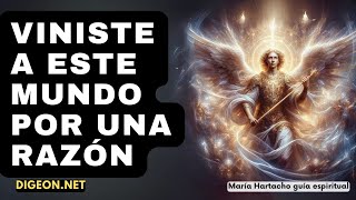 AHORA LO ENTENDERÁS TODO💌MENSAJE DE LOS ÁNGELES PARA TI DIGEON Arcángel jofiel Enseñanza VERTI [upl. by Adelle591]