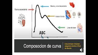 Importancia de la Pletismografia capilar en urgencias [upl. by Brocklin]