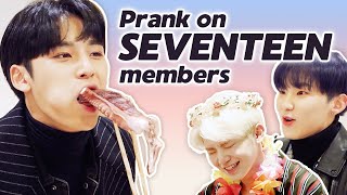 Dingo Pulled A Prank On SEVENTEEN Members • ENG SUB • dingo kdrama [upl. by Zemaj]