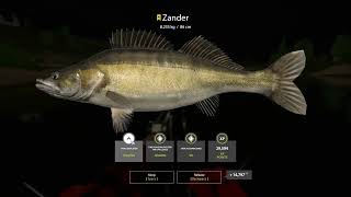 Russian Fishing 4  Trophy Zander  Sura River  Stage 6 [upl. by Robinia]