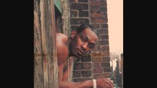 Petey Pablo  We dont give a damn unreleased [upl. by Brouwer174]