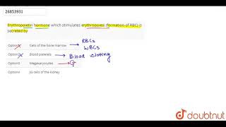 Erythropoietin hormone which stimulates erythropoiesi formation of RBC is secreted by  11  C [upl. by Chenay974]