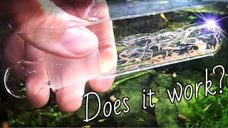 PLANARIA TRAP Review [upl. by Ahsiei366]