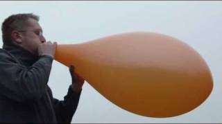 b2p 15 inch balloon  orange Mexico [upl. by Benedetto]