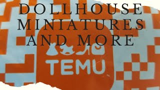 TEMU Dollhouse Minutures Haul [upl. by Labors]