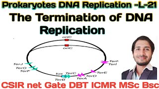 Prokaryotic DNA Replication L21 The termination mechanism of DNA Replication csir Termination [upl. by Gayla]