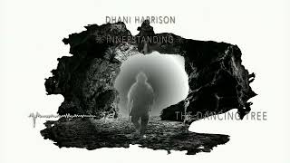 Dhani Harrison  The Dancing Tree Feat Mereki Official Audio [upl. by Raimes]