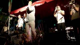 Dub Pistols Live  Cyclone [upl. by Hamian]