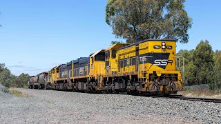 T386 XR552 XR553 amp T363 at Porcupine Hill [upl. by Adamis]