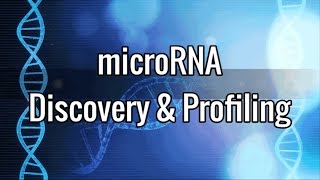 microRNA Discovery amp Profiling [upl. by Ecargyram50]