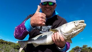 SALMON TAILOR WINTER BEACH FISHING Western Australia [upl. by Colwell376]