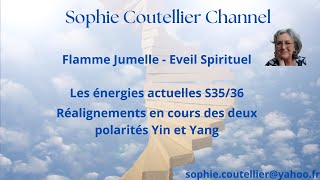 Flamme Jumelle  Réalignement en cours pour les 2 polarités Yin et Yang [upl. by Einnej574]