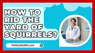 How To Rid The Yard Of Squirrels  PetGuide360com [upl. by Enyluqcaj]