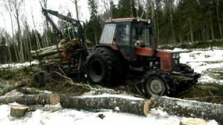 Belarus Mtz 1025 forestry tractor working in wet forest [upl. by Heyra765]