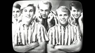 The Beach Boys  quotApple Bottom Jeansquot 1963 [upl. by Gnouc]