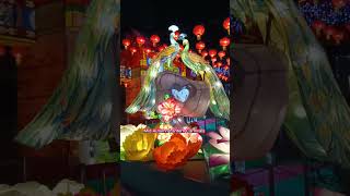 Peacocks MidAutumn Lantern Carnival youtubeshorts shortviral shorts youtuber [upl. by Roe]