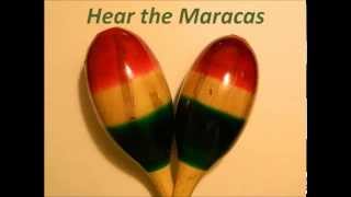 Hear the Maracas  Rumba Shakers  Rattles  Percussion Instrument [upl. by Nosirrag18]