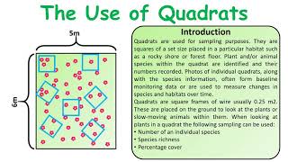 GCSE Biology Science Use of quadrats revision [upl. by Adrial226]