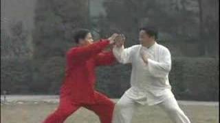 tai chi push hands [upl. by Ingram]