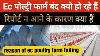 ec पोल्ट्री फार्म बंद क्यों हो रहे हैंwhy are ec poultry farm failing [upl. by Trefor]