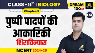 Class 11 Biology Chapter 5  पुष्पी पादपों की आकारिकी  शिराविन्यास  L44  Krishnakant Sir [upl. by Einolem]