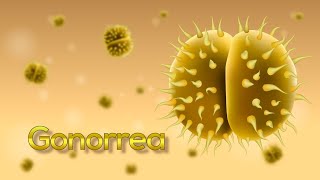 ¡La Gonorrea en 5 minutos Neisseria gonorrhoeae Animación [upl. by Anaderol]