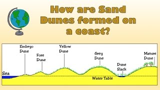 How are Sand Dunes formed on a coast  Labelled diagram and explanation [upl. by Amitarp845]