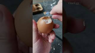 004 ASMR  Peel a Raw Egg shorts egg funny [upl. by Schlenger]