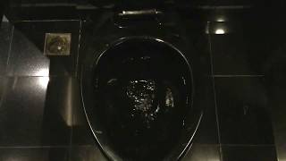 Bathroom tour BLACK Kohler urinal and toilets [upl. by Ola245]