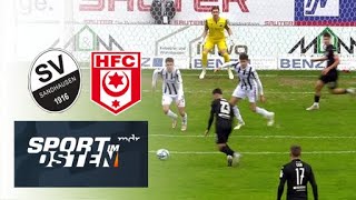 Nietfeld sicher vom Punkt – Hallescher FC erkämpft Remis in Sandhausen [upl. by Aiotal357]