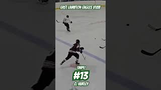 13 O Hurley Snipes hockey shorts icehockey snipe youtube youtubeshorts canada goals usa [upl. by Oramug]