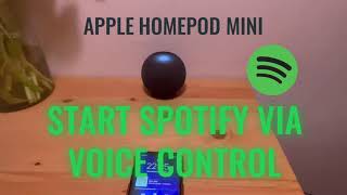 How to play Spotify on HomePod Mini via Voice Control  Spotify per Sprachbefehl auf HomePod [upl. by Gurango126]