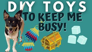 Puppy Tests 3 Easy DIY Dog Toys  Indoor Dog Activities [upl. by Gentry]