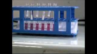 Production of lateral flow test in a basic equipped lab [upl. by Kcyred]