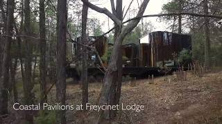 Accommodation in Freycinet National Park  Coastal Pavilions [upl. by Anallise]