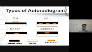 Autoradiography [upl. by Clevey780]