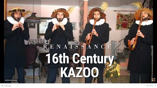 I played FOUR 16th Century KAZOOs Renaissance Italian theme [upl. by Ashlin331]