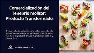 Tenebrio Molitor El Secreto de su Cría y Comercialización para una Alimentación Sostenible [upl. by Haliehs]