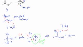 Ester Hydrolysis Acidic and Basic Conditions [upl. by Aniles]